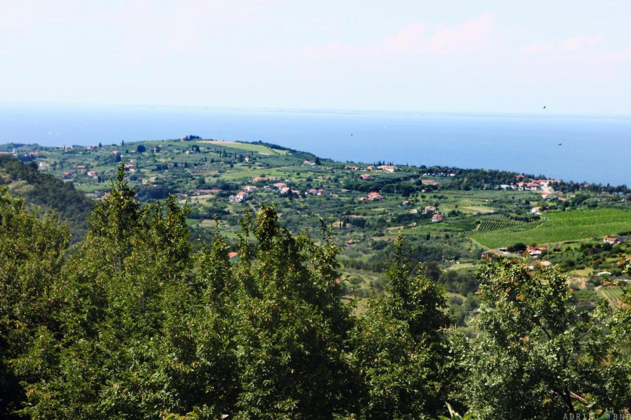 Garden Ville Izola Mira Buitenkant foto